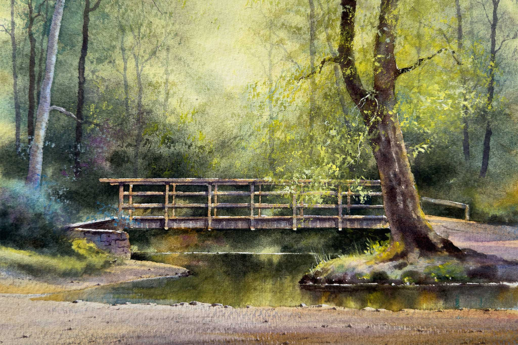 Footbridge in the New Forest