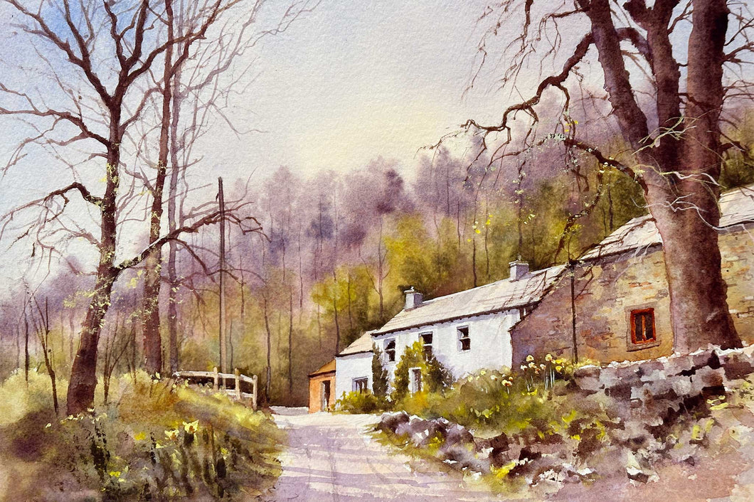 Farm near St John’s in the Vale Cumbria - Preview