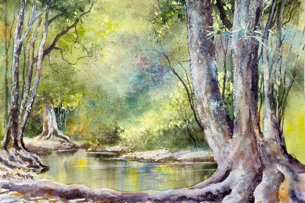 Thailand National Park
